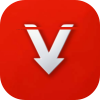 VidFetch v7.0.528一键下载各大平台视频内置播放器